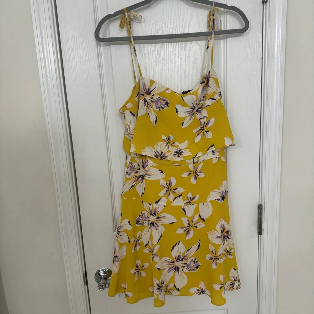 NWOT BB Dakota Island Time Printed Bubble Crepe Dress
